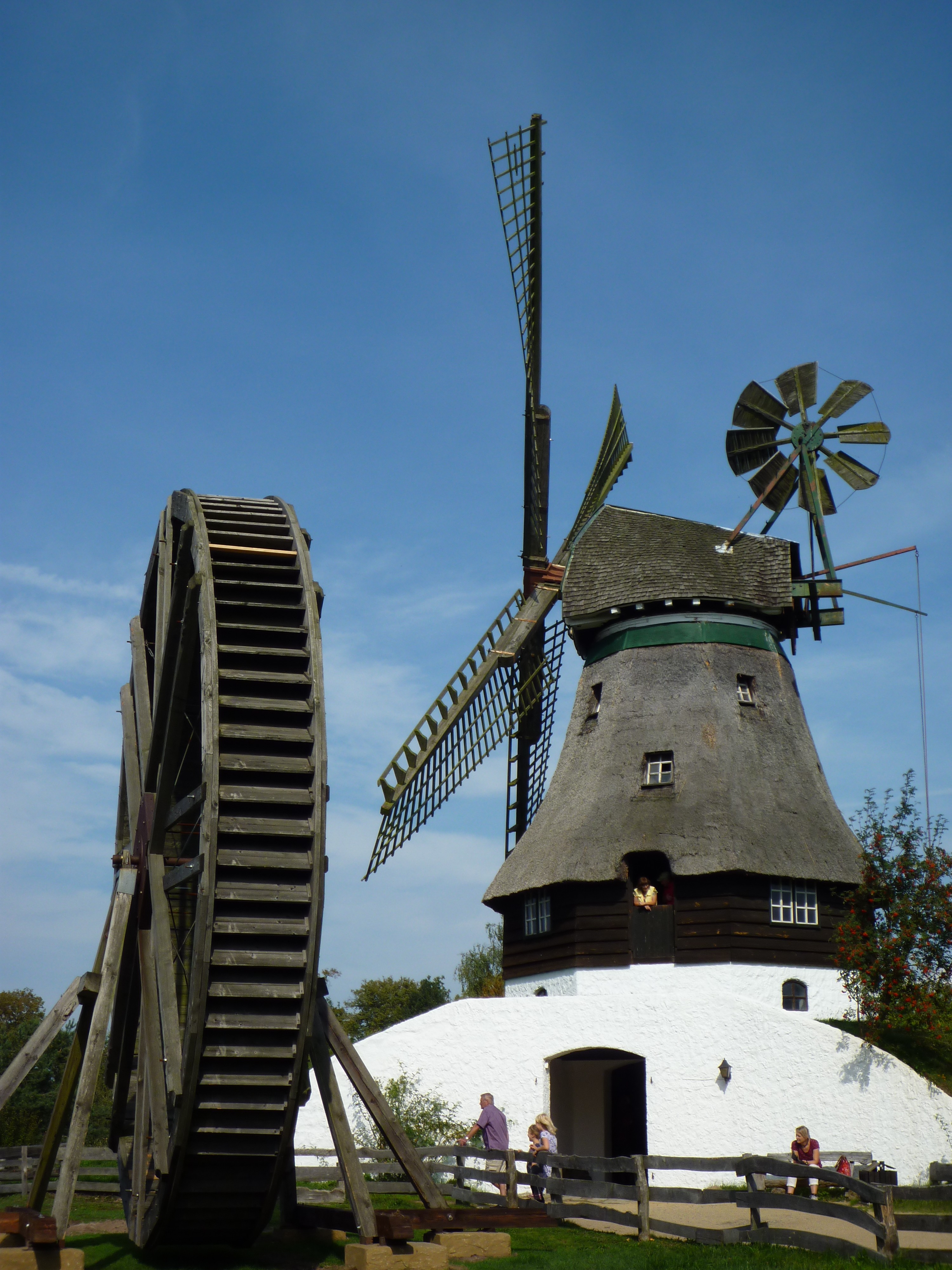 Ветряные мельницы соседствуют в музее с водными. Источник https://upload.wikimedia.org/