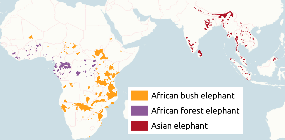 Где живут слоны Источник иллюстрации: Викимедиа